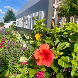 Summertime is here at The Atherton 🌺😍 come by for a tour to see for yourself! 
Call us at (469) 803-5038 or head to our website athertonfrisco.com to schedule a tour today
Walk-ins welcome!🤗 
#nature #flowers #flowerstagram #community #atherton #frisco #apartments #friscoapartments #texas #summertime #summervibes #summer #summersolstice #friscotx #tx #ntx #northtexasapartments #northtexas #downtownfrisco #stonebriarcentre Instagram post from @athertonfrisco on June 21, 2024 10:22:55am